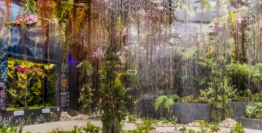 Floral Fantasy Singapur