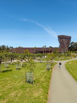 Pathway leading to the de Young Museum in San Francisco with trees and a clear sky.