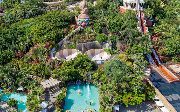 Tourist exploring lush tropical gardens and unique architecture at Loro Parque.