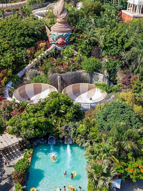 Tourist exploring lush tropical gardens and unique architecture at Loro Parque.