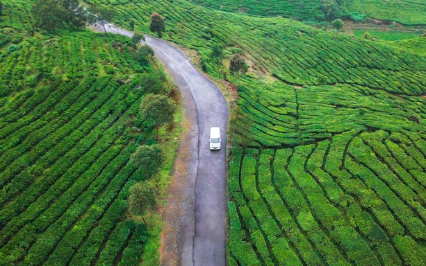 Rancabali Tea Plantation