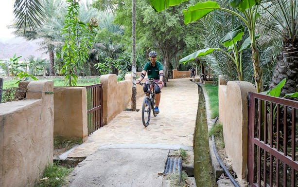 Cyclist on a path through lush greenery at Hatta Farms during a mountain bike tour.
