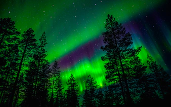 Northern Lights over forest in Rovaniemi, Finland.