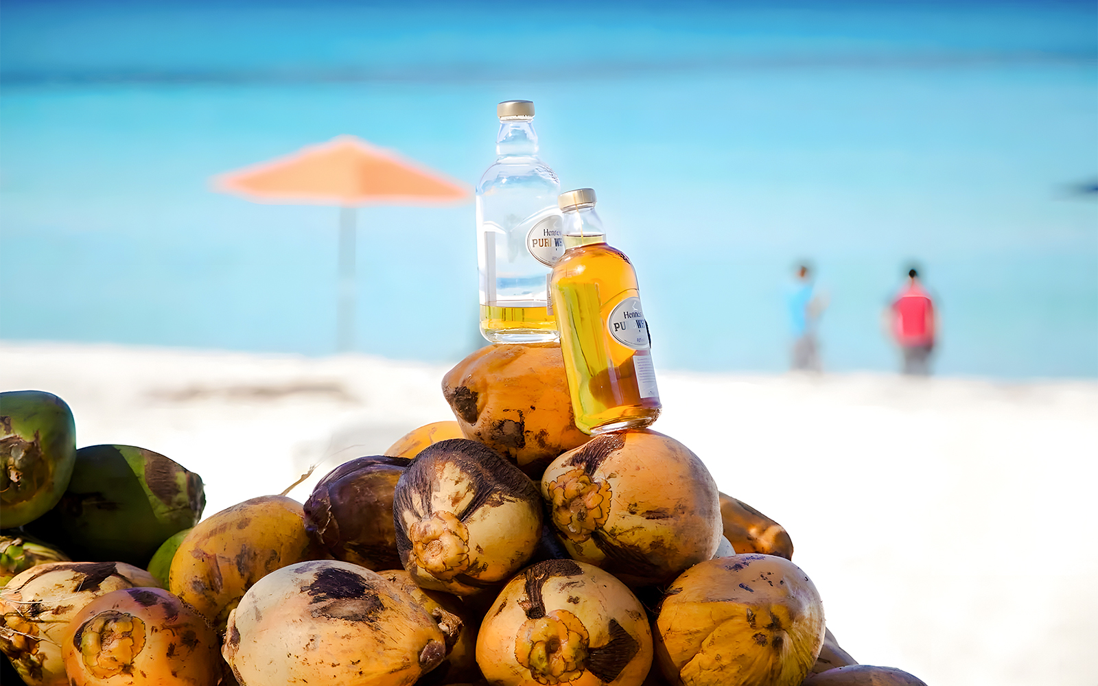 Coconuts and rum bottles on a beach in Bimini, Bahamas with ocean view.