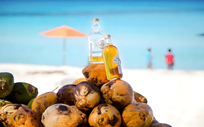 Coconuts and rum bottles on a beach in Bimini, Bahamas with ocean view.