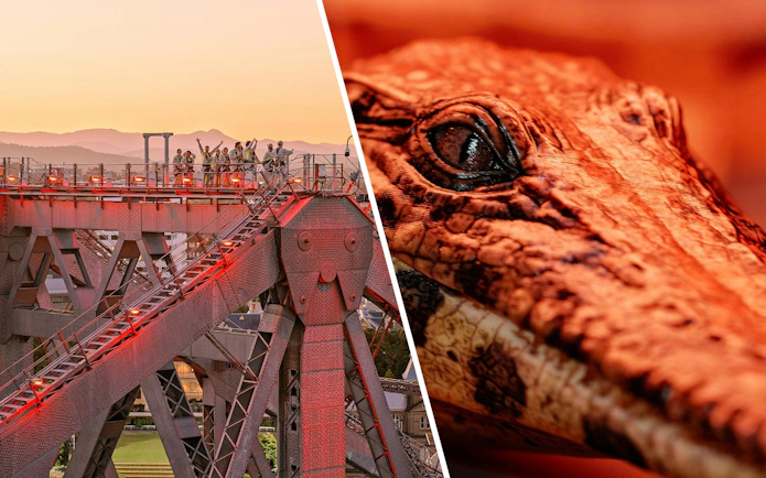 Twilight climb on Story Bridge, Brisbane; close-up of crocodile at Queensland Museum.