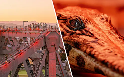 Twilight climb on Story Bridge, Brisbane; close-up of crocodile at Queensland Museum.