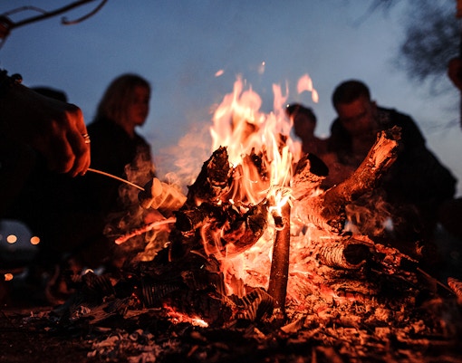 Reindeer sledding near a bonfire in snowy Lapland forest.