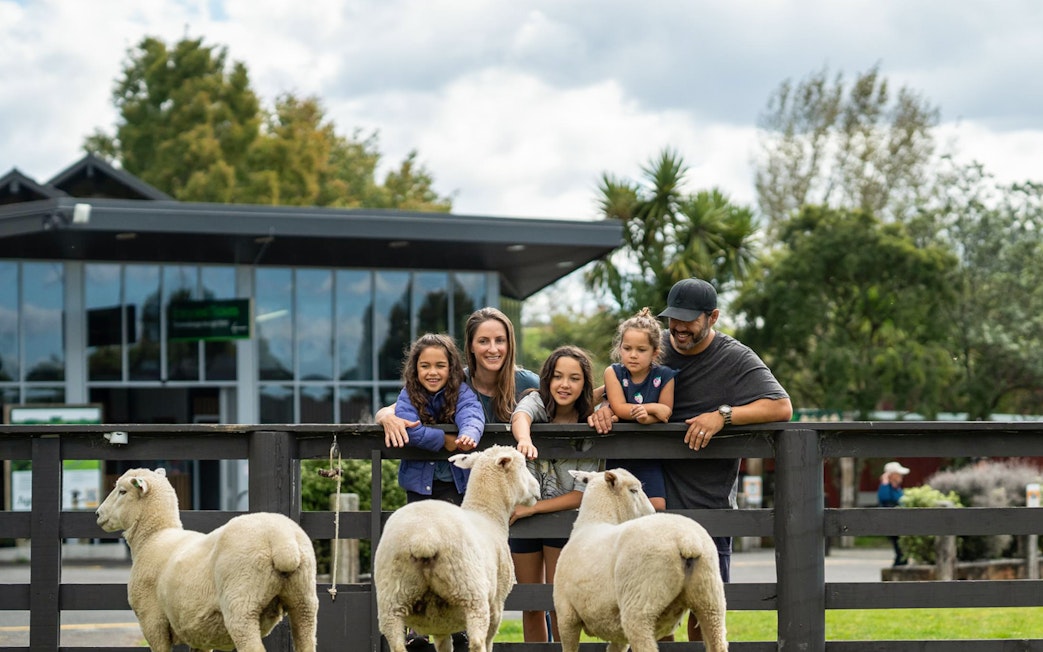 Family interacting with sheep at Agrodome Authentic Farm Experience, New Zealand.