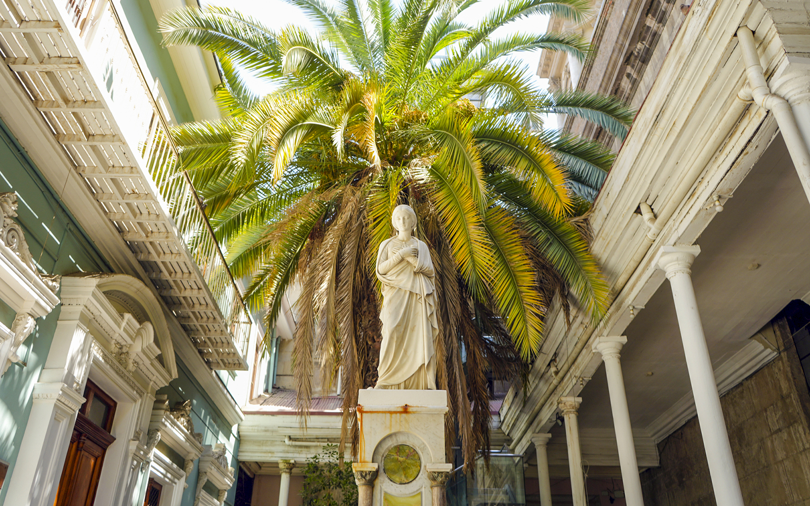 Statue under palm tree in the courtyard of Santiago Cathedral.