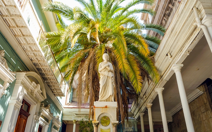 Statue under palm tree in the courtyard of Santiago Cathedral.