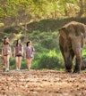 Elephant Jungle Sanctuary, Chiang Mai