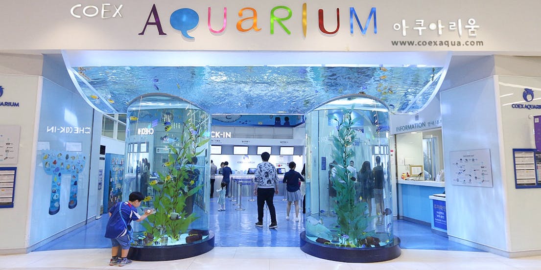 Coex Aquarium