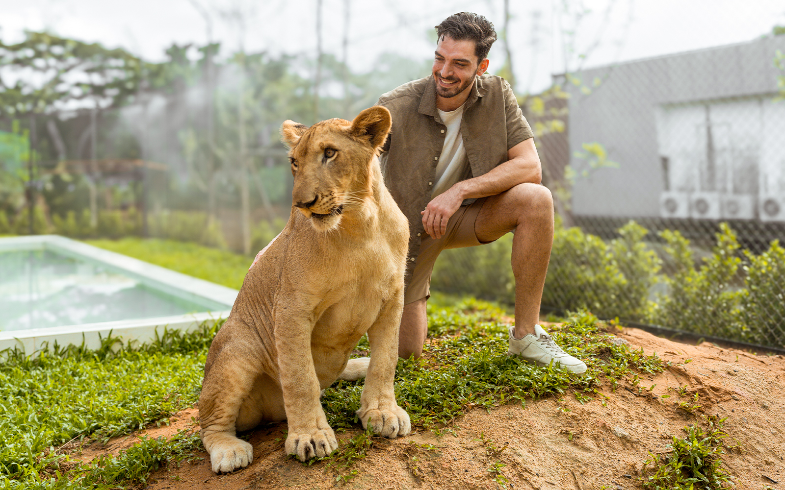 Man interacting with a lion at Lion Land Phuket.