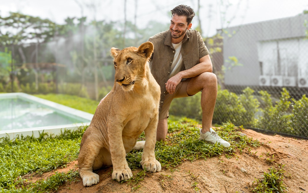 Man interacting with a lion at Lion Land Phuket.