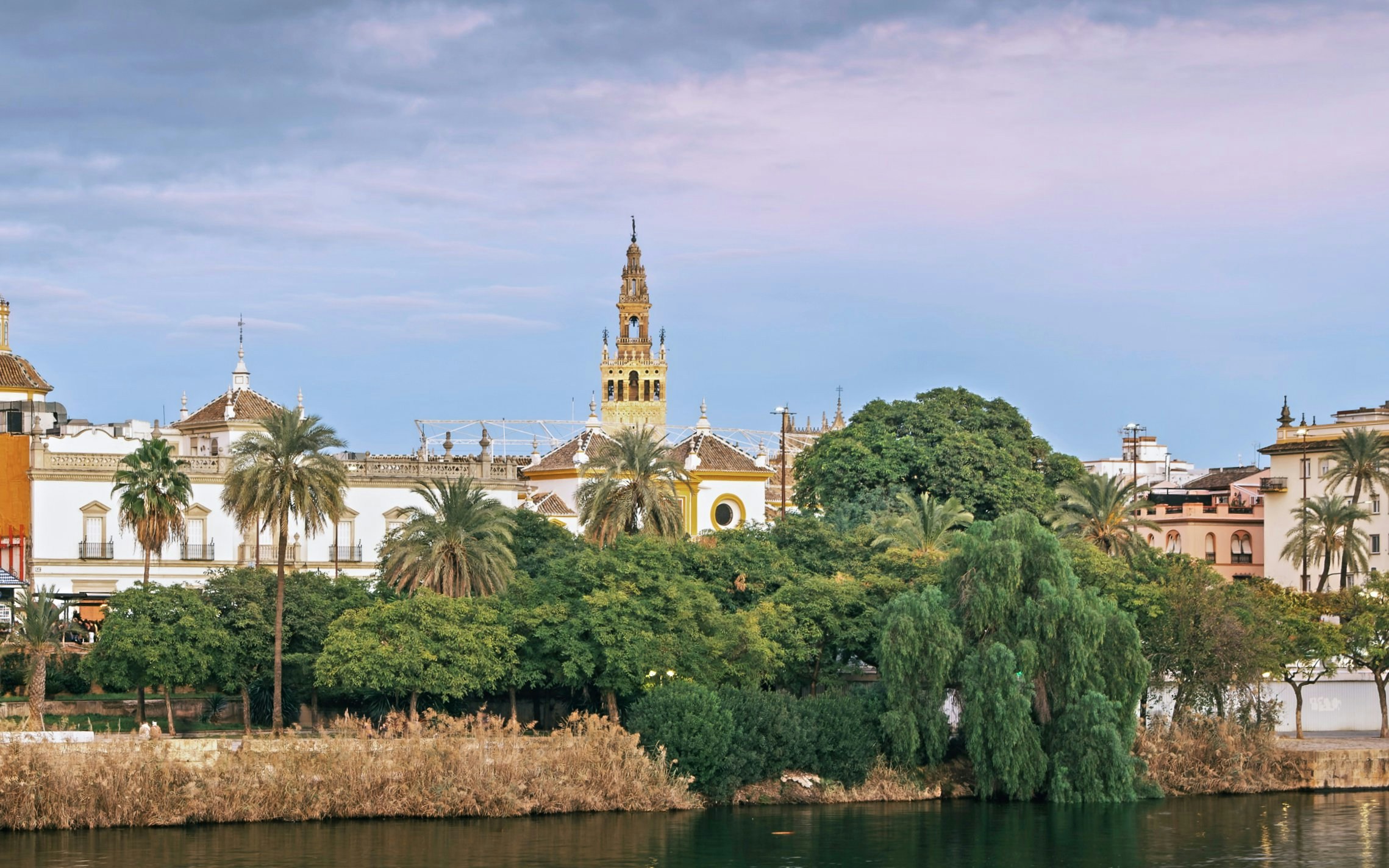 Giralda Tower and palm trees along the Guadalquivir River in Seville, Spain.