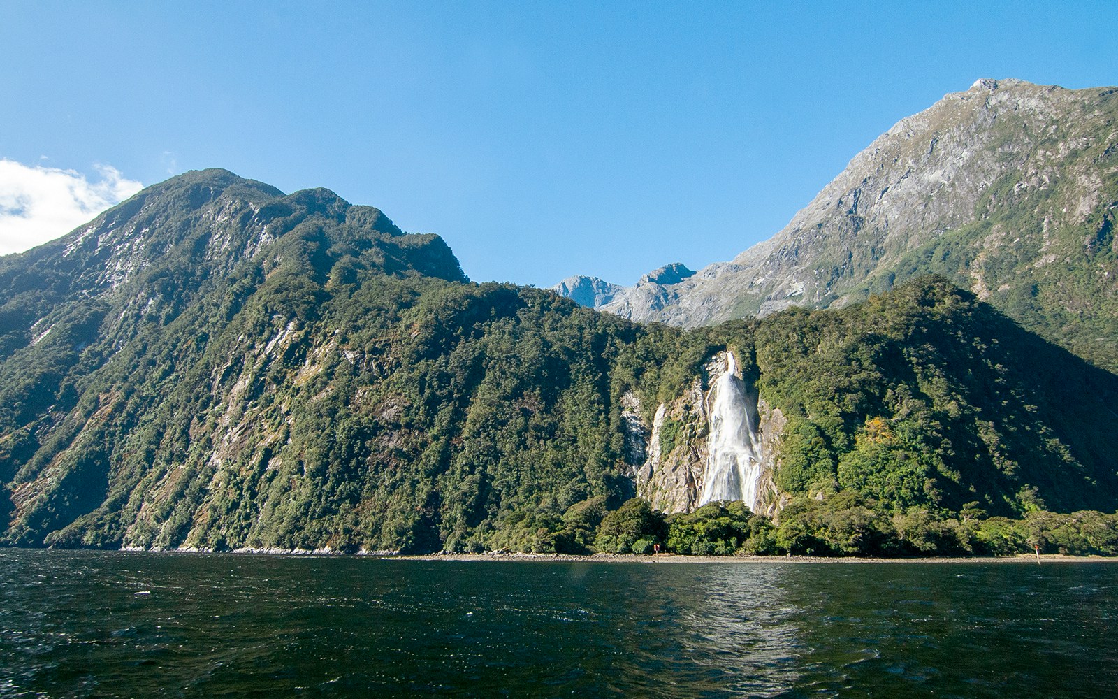 Milford Sound Cruises