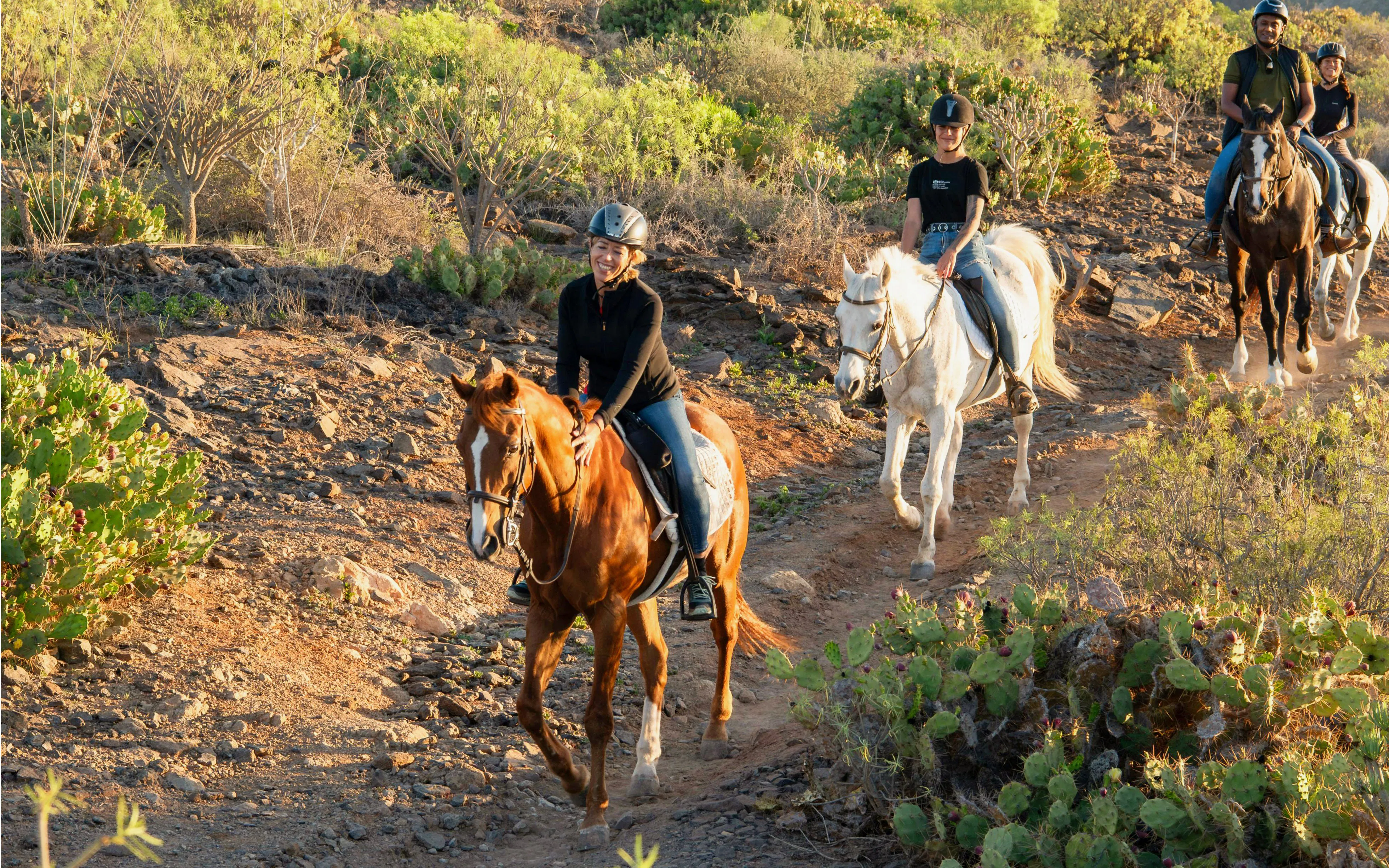 Horseback riders on a volcanic trail in Gran Canaria, surrounded by desert vegetation.