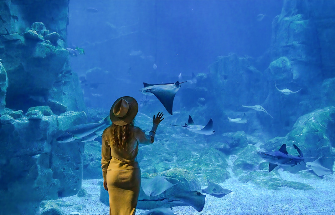Woman watching a stingray fish at Oceanarium in Lisbon