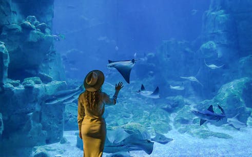 biglietti per l'oceanario di lisbona-1