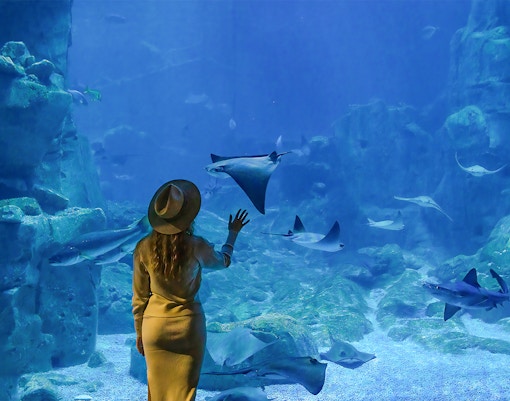 Woman observing rays and fish at Lisbon Oceanarium's Tropical Indian reefs exhibit.