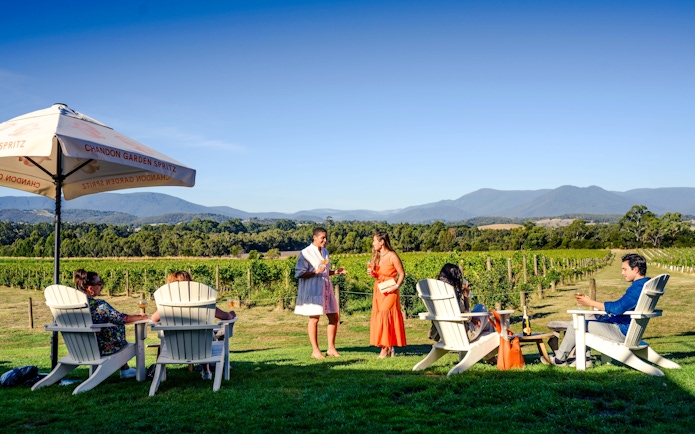 Guests enjoying drinks with vineyard and mountain views at Chandon, Yarra Valley.