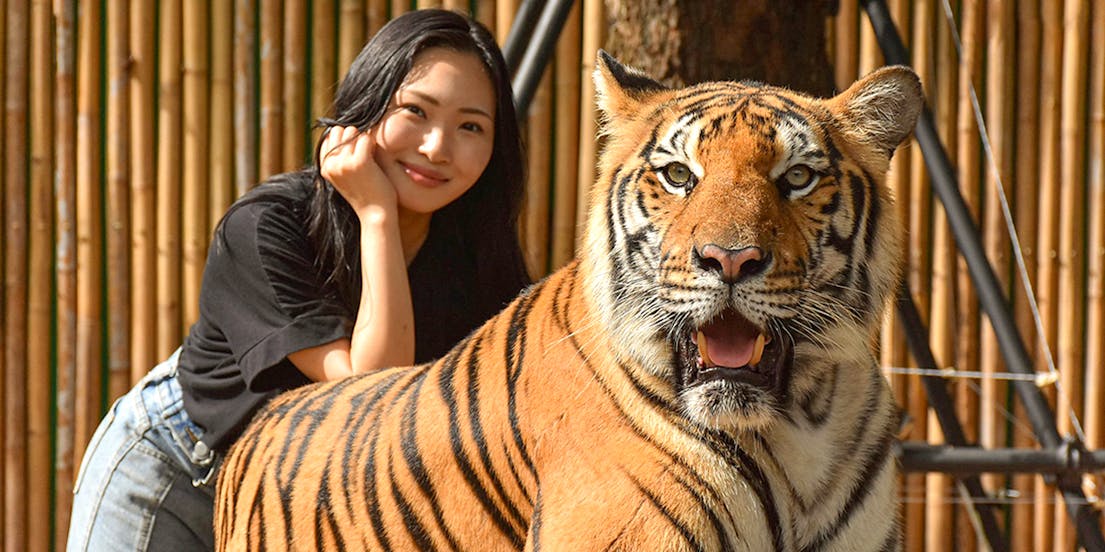 Biglietti per il Tiger Kingdom