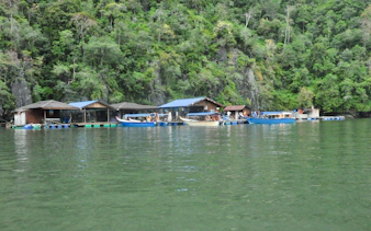 langkawi kilim geoforest park mangrove kayaking tour with lunch and pickup-4