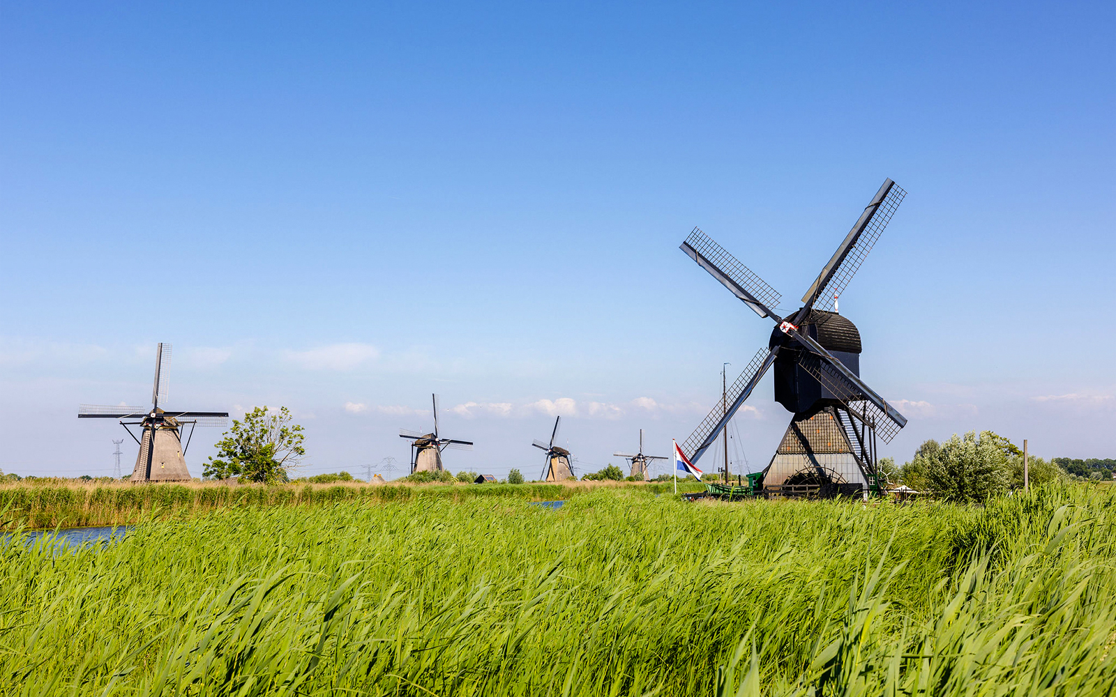Windmills at Kinderdijk with lush green fields and clear blue sky.