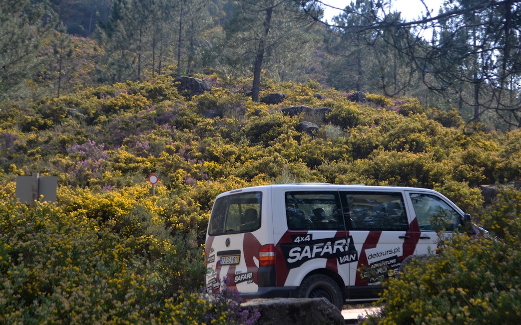 Safari van in Peneda Gerês National Park surrounded by lush greenery.
