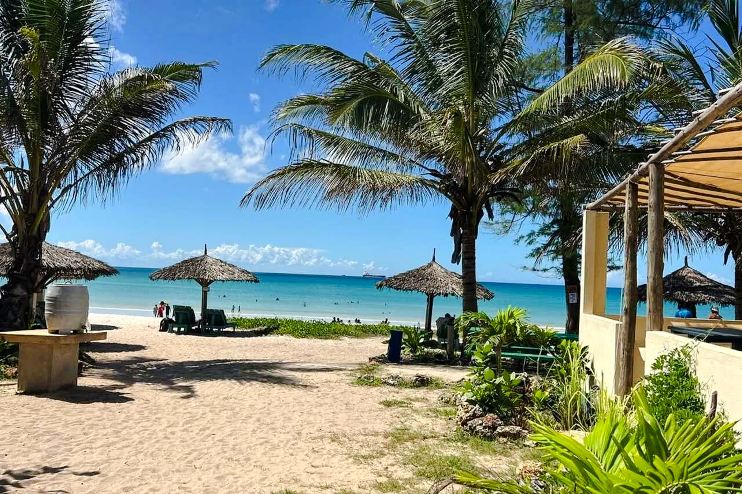 Beachfront view with palm trees and umbrellas at a resort in Dar es Salaam, Zanzibar.