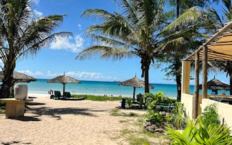 Beachfront view with palm trees and umbrellas at a resort in Dar es Salaam, Zanzibar.