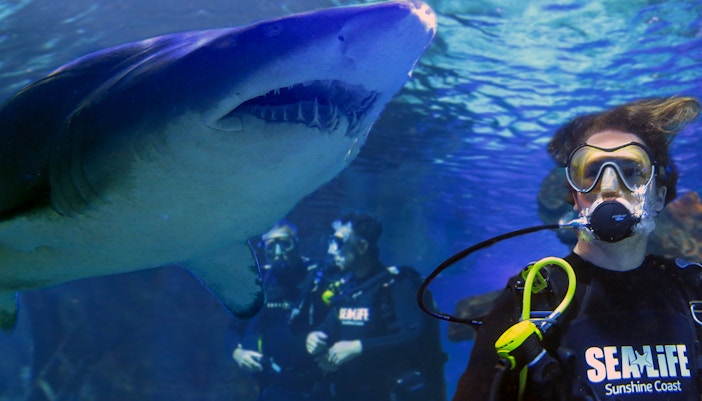 Shark Dive Xtreme