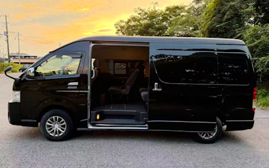 Narita International Airport to Tokyo Private One-Way Transfer