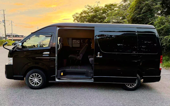 Narita International Airport to Tokyo Private One-Way Transfer