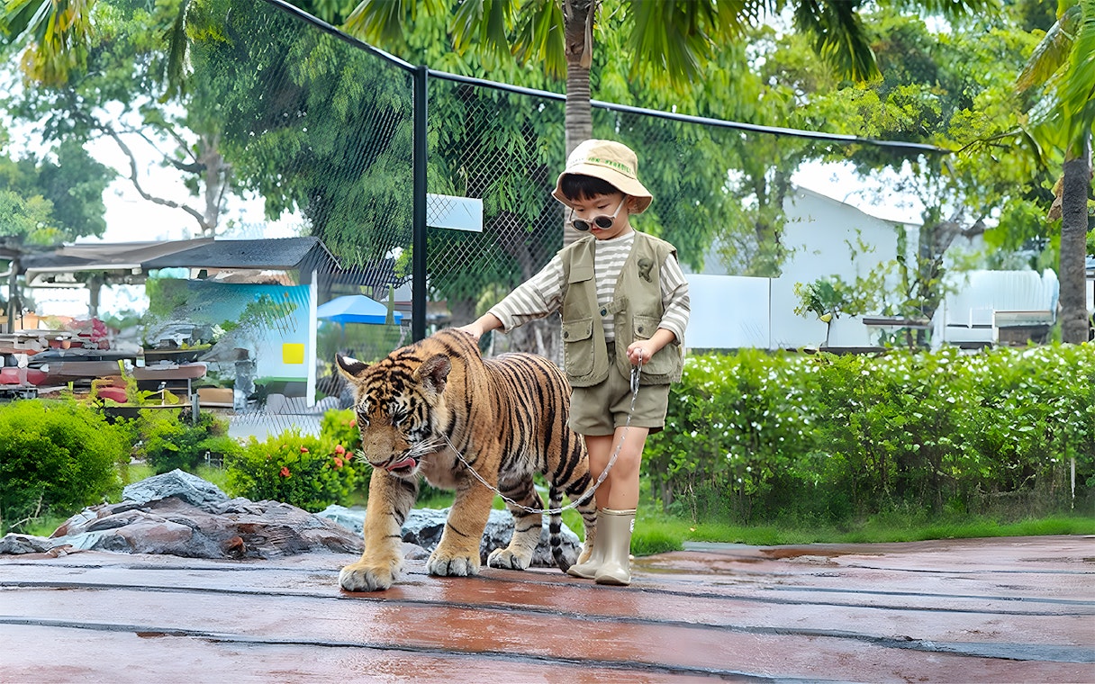 Young boy walking a tiger cub on a leash in a lush garden setting.