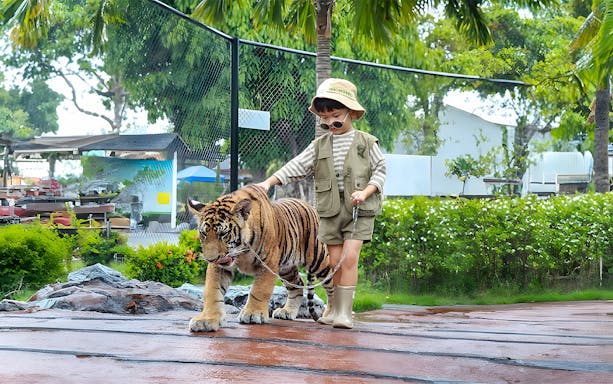Young boy walking a tiger cub on a leash in a lush garden setting.