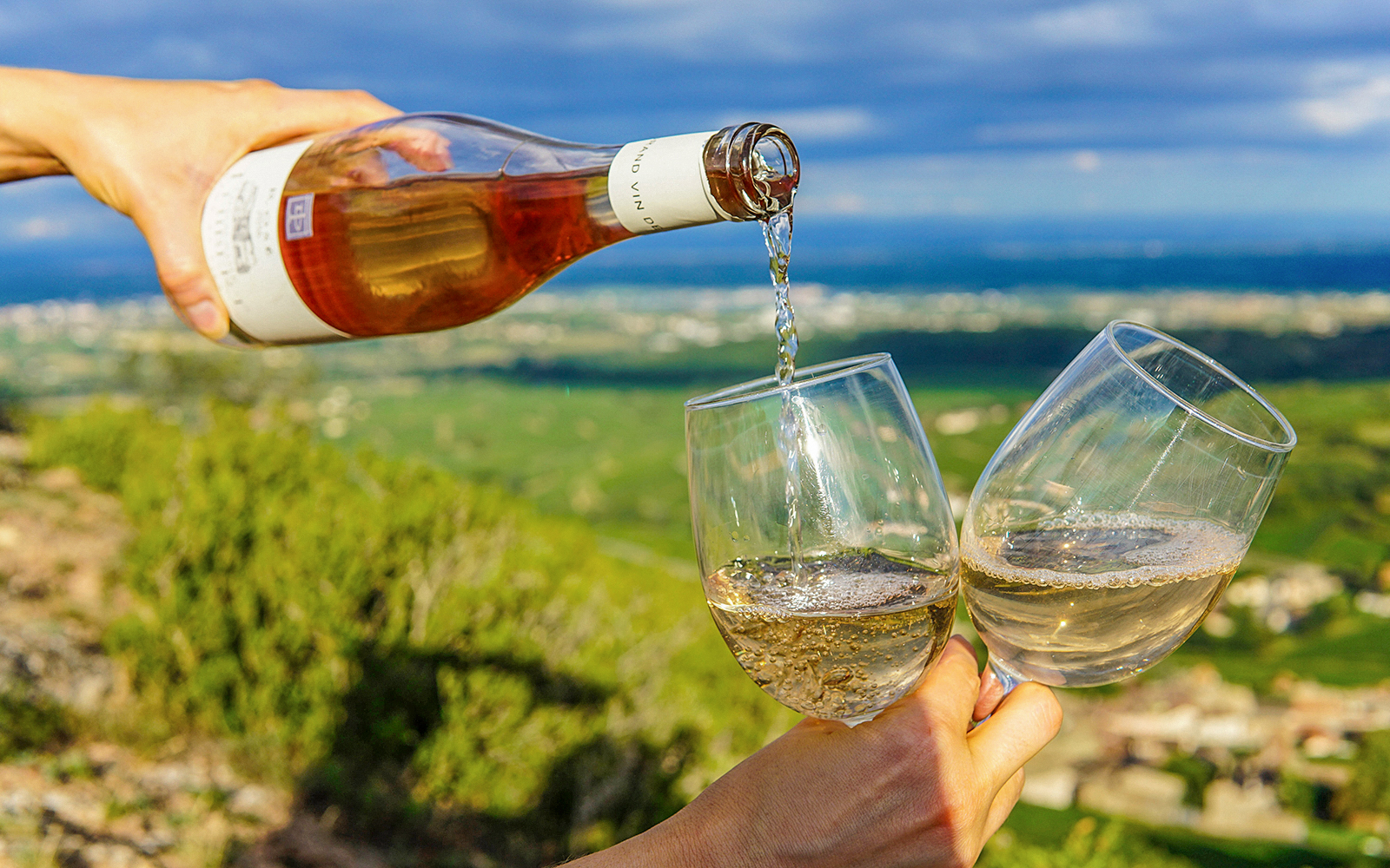 Pouring wine into glasses with Napa Valley landscape in the background.