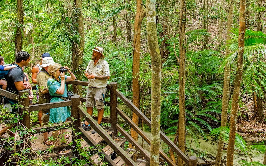 Guided forest walk on K'gari, Fraser Island with tourists and guide on wooden path.