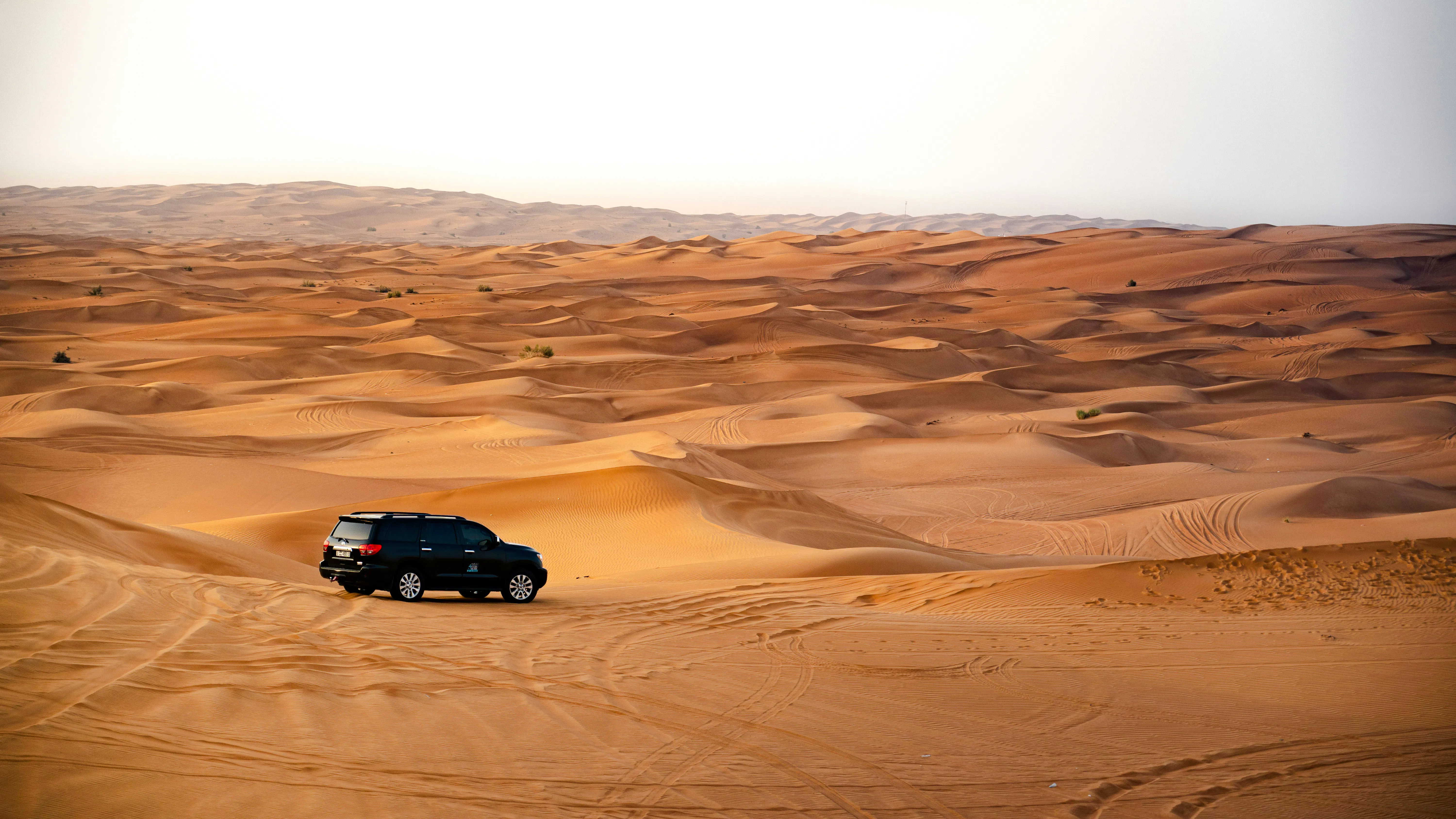 Dubai Desert Safari with Transfers, Dune Bashing, Camel Ride & Sandboarding Image 3