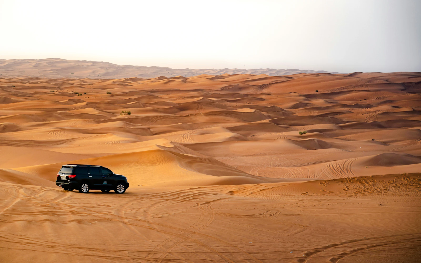 Dubai Desert Safari with Transfers, Dune Bashing, Camel Ride & Sandboarding Image 3