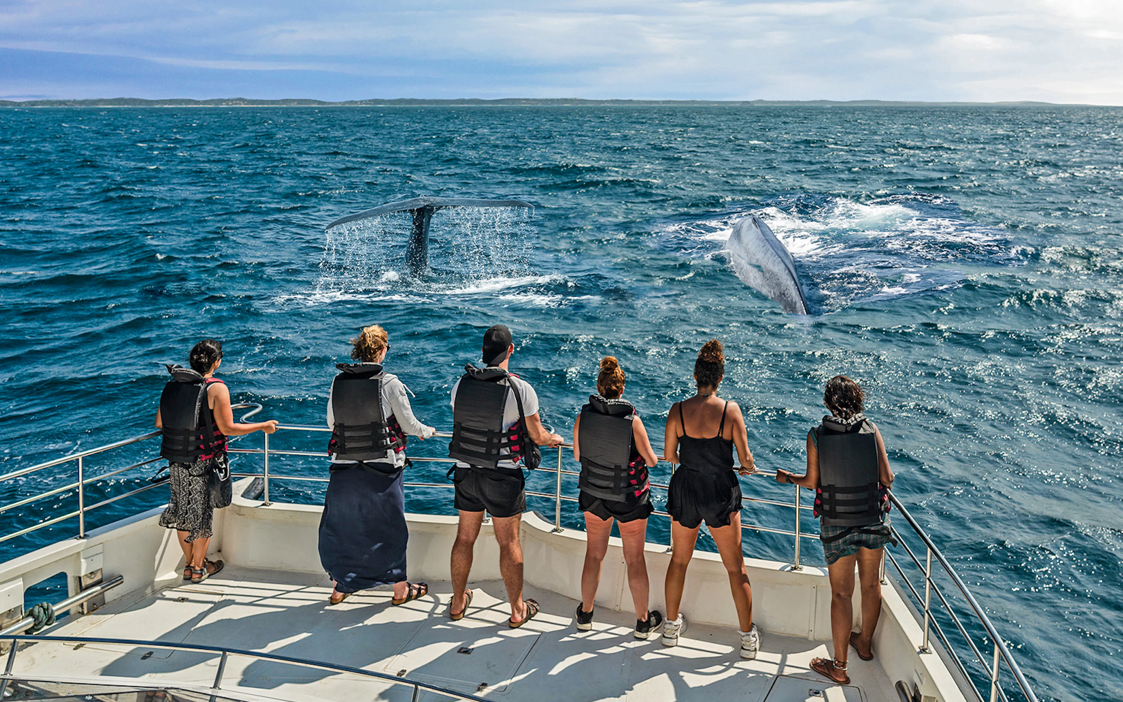 Tourists on a boat watching whales