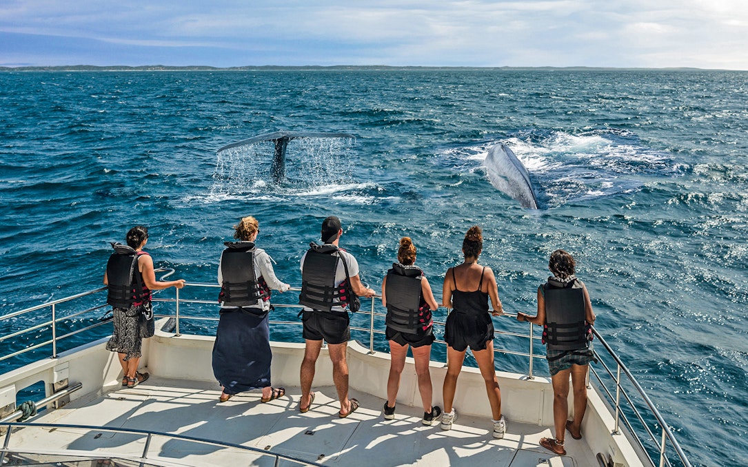 Tourists on a boat watching whales in Kaikoura, New Zealand.