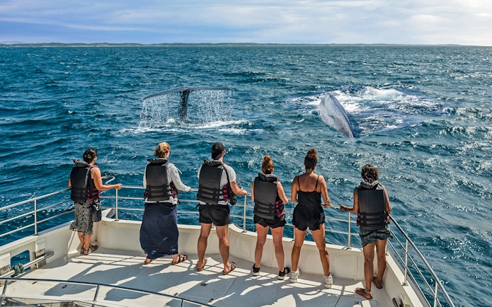 Tourists on a boat watching whales in Kaikoura, New Zealand.