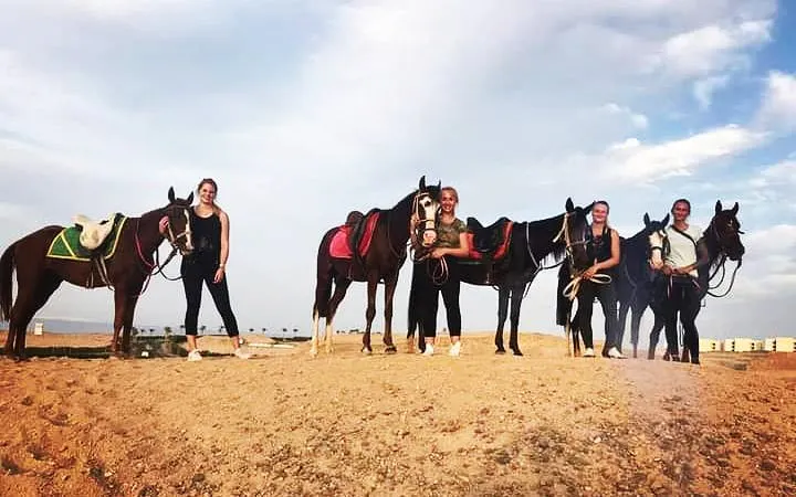 2 timers premium ridetur i luksusklasse, ørkenstur og strandtur - hurghada-8