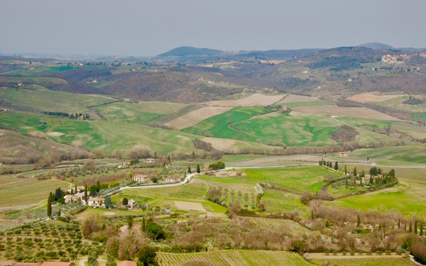 From Rome: Tuscany Day Trip with Lunch and Sommelier‑Led Tasting