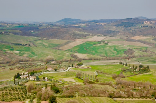 Från Rom: Dagsutflykt till Toscana med lunch och vinprovning