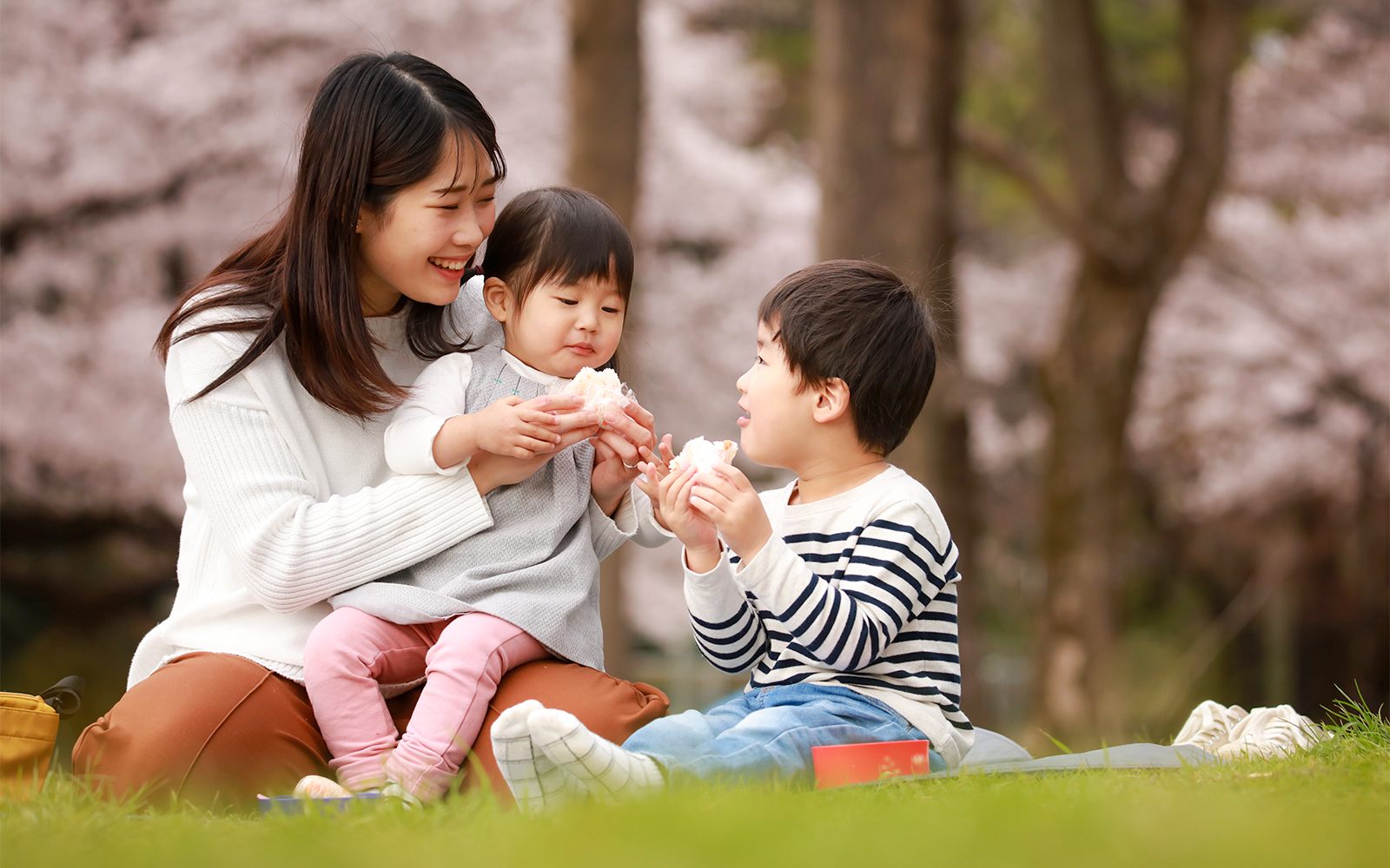 Family enjoying a picnic under cherry blossoms in Meguro, Tokyo during a walking tour.