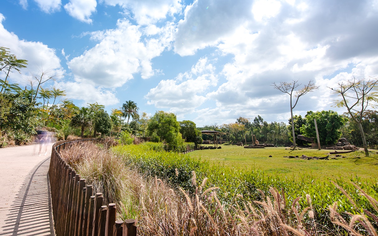Pathway through lush greenery at Australia Zoo under a bright sky.