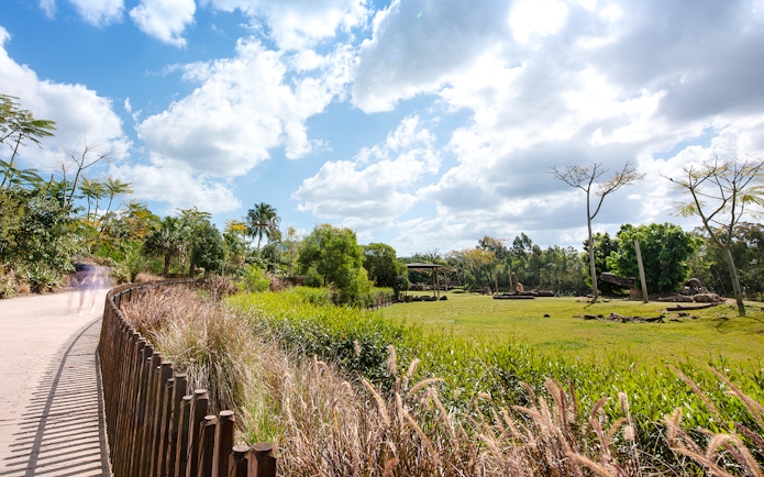 Pathway through lush greenery at Australia Zoo under a bright sky.